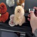 Alpaca Air Vent Clip