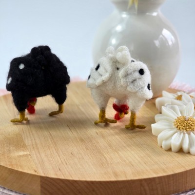 Chickens sexy Chickens sexy