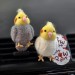 Cockatiel parrots Air Vent Clip