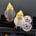 Cockatiel parrots Air Vent Clip
