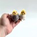 Cockatiel parrots Air Vent Clip