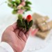 Lovebird Air Vent Clip