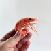 Shrimp Air Vent Clip