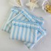 Sky-blue striped laptop sleeve with ruffles