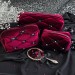 Large Burgundy Goth Cosmetic Bag